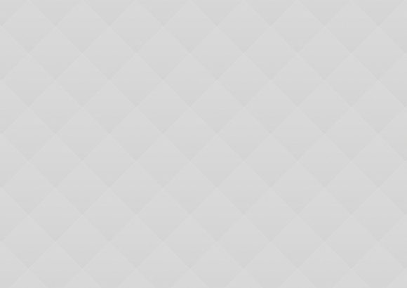 03 Professional Carwashing